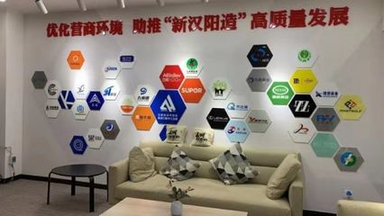 三重创新优化服务 汉阳“四办”改革经验的全国推广与技术推广服务探索