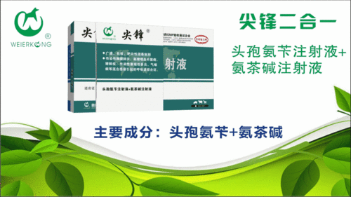 北票市深化畜牧技术推广体系改革 提升服务效能促发展